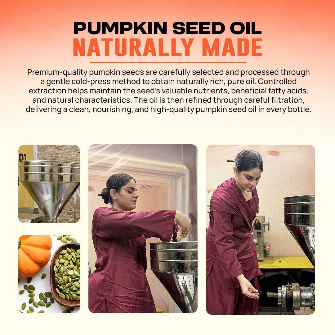 Cold-press oil making procedure for Champi Oil Organic Pumpkin Seed Oil from seeds to bottle